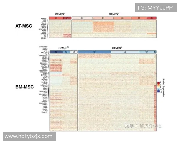 传控率对球队比赛胜负结果影响的体育技术统计解析研究